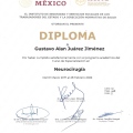 Ampliar imagen: certificate 4