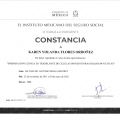 Ampliar imagen: certificate 4