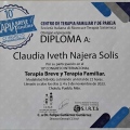 Ampliar imagen: certificate 2