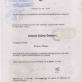 Ampliar imagen: certificate 10