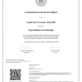Ampliar imagen: certificate 3