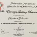 Ampliar imagen: certificate 5