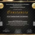 Ampliar imagen: certificate 43