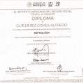 Ampliar imagen: certificate 3