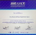 Ampliar imagen: certificate 4