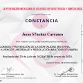 Ampliar imagen: certificate 3