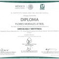 Ampliar imagen: certificate 5
