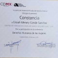 Ampliar imagen: certificate 5