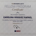 Ampliar imagen: certificate 2