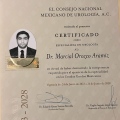 Ampliar imagen: certificate 3