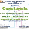 Ampliar imagen: certificate 24