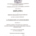 Ampliar imagen: certificate 12