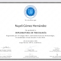 Ampliar imagen: certificate 5