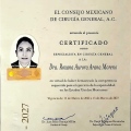 Ampliar imagen: certificate 3