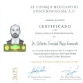 Ampliar imagen: certificate 4