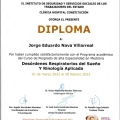 Ampliar imagen: certificate 3