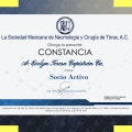 Ampliar imagen: certificate 1