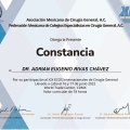 Ampliar imagen: certificate 3