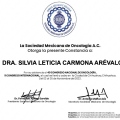 Ampliar imagen: certificate 8