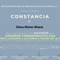 Ampliar imagen: certificate 9