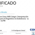 Ampliar imagen: certificate 4