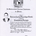 Ampliar imagen: certificate 5