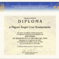 Ampliar imagen: certificate 15