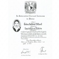 Ampliar imagen: certificate 3
