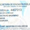 Ampliar imagen: certificate 3