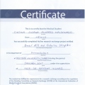 Ampliar imagen: certificate 2