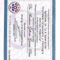 Ampliar imagen: certificate 7