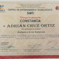 Ampliar imagen: certificate 27
