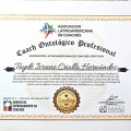 Ampliar imagen: certificate 46