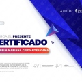 Ampliar imagen: certificate 4
