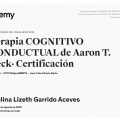 Ampliar imagen: certificate 4