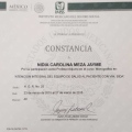Ampliar imagen: certificate 4