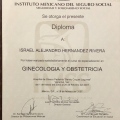 Ampliar imagen: certificate 1