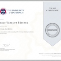 Ampliar imagen: certificate 7