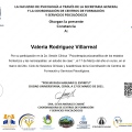 Ampliar imagen: certificate 3
