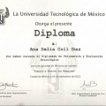 Ampliar imagen: certificate 7