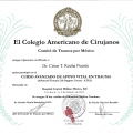 Ampliar imagen: certificate 82