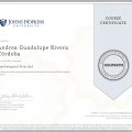 Ampliar imagen: certificate 5