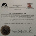 Ampliar imagen: certificate 3