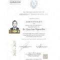 Ampliar imagen: certificate 7