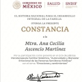 Ampliar imagen: certificate 2