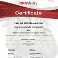 Ampliar imagen: certificate 3