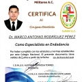 Ampliar imagen: certificate 28