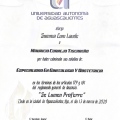 Ampliar imagen: certificate 3