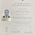 Ampliar imagen: certificate 4