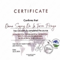 Ampliar imagen: certificate 12